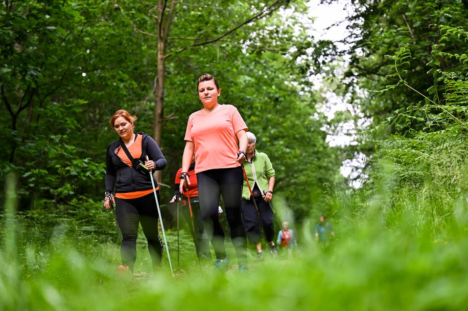 Gruppe von Personen wandert auf einem schmalen Pfad durch einen bewaldeten Bereich, umgeben von grüner Vegetation.